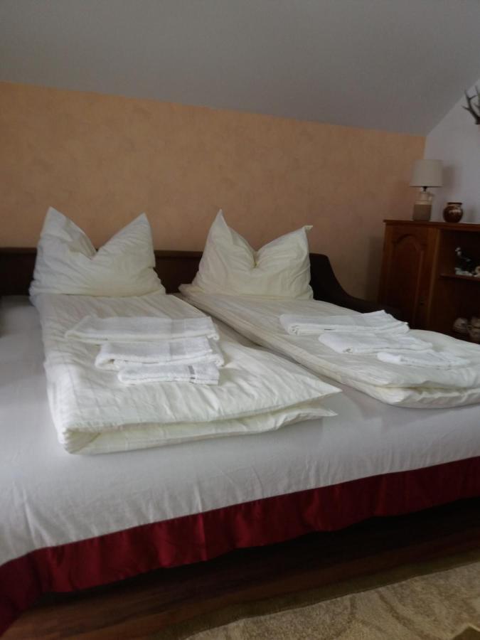 Bed and Breakfast Casa Vlasea Albesti Sighișoara Zewnętrze zdjęcie