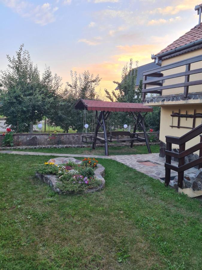 Bed and Breakfast Casa Vlasea Albesti Sighișoara Zewnętrze zdjęcie